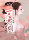 一品医妃百科