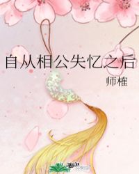 自从相公失忆之后全文阅读
