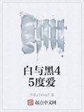 黑与白啥意思