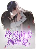 冷漠前夫缠缠爱陆安愿的小说