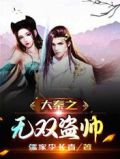 大秦之无双盗帅读书网