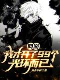 网游:我才开了99个光环而已精校版
