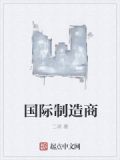 国际制造商