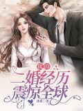 我的二婚经历震惊全球小说