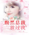 无宠不欢腹黑总裁放过我