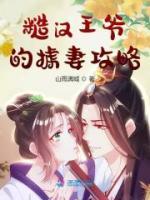 《糙汉追妻》小说