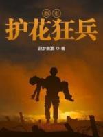 都市护花狂兵无弹窗杨飞