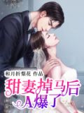 小说,甜妻