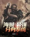 海贼:最强分身系统无弹窗