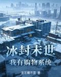 冰封末世小说