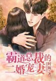 霸道总裁的二婚妻子容嚒嚒
