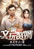 第一赘婿未删版全文小说