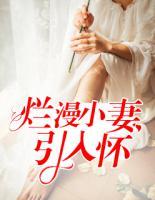 烂漫小妻引入怀已完结