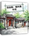 四合院：我叫易中河